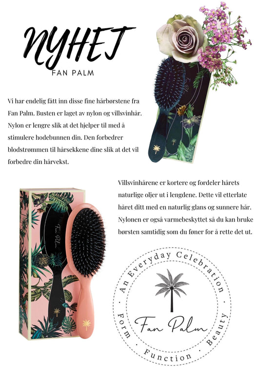 Nyhet, Fan Palm!