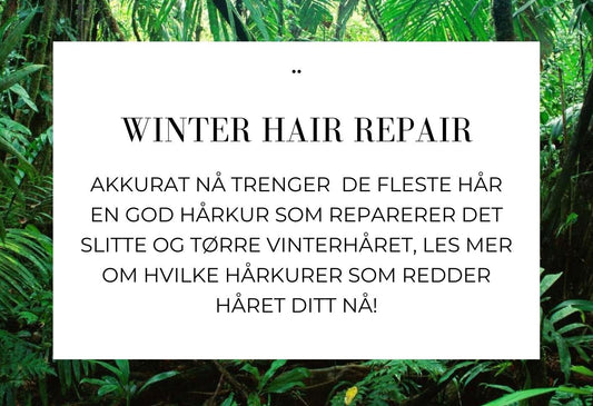 WINTER HAIR REPAIR
